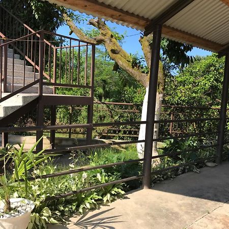 Guest House Evkalipt Oçamçıra Dış mekan fotoğraf