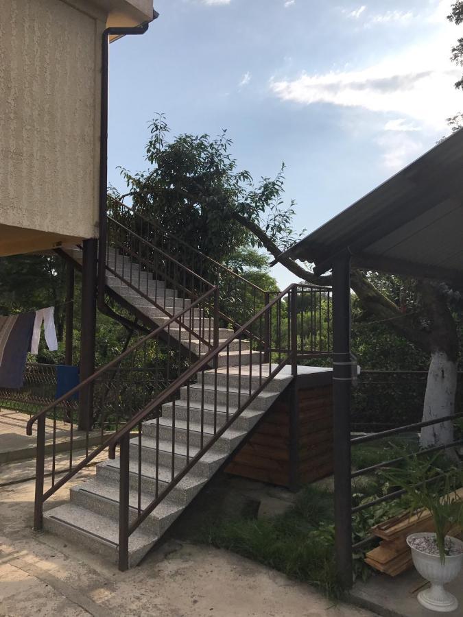 Guest House Evkalipt Oçamçıra Dış mekan fotoğraf