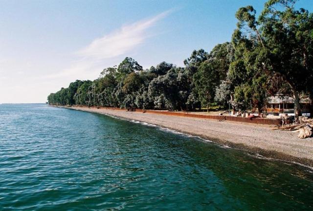 Guest House Evkalipt Oçamçıra Dış mekan fotoğraf